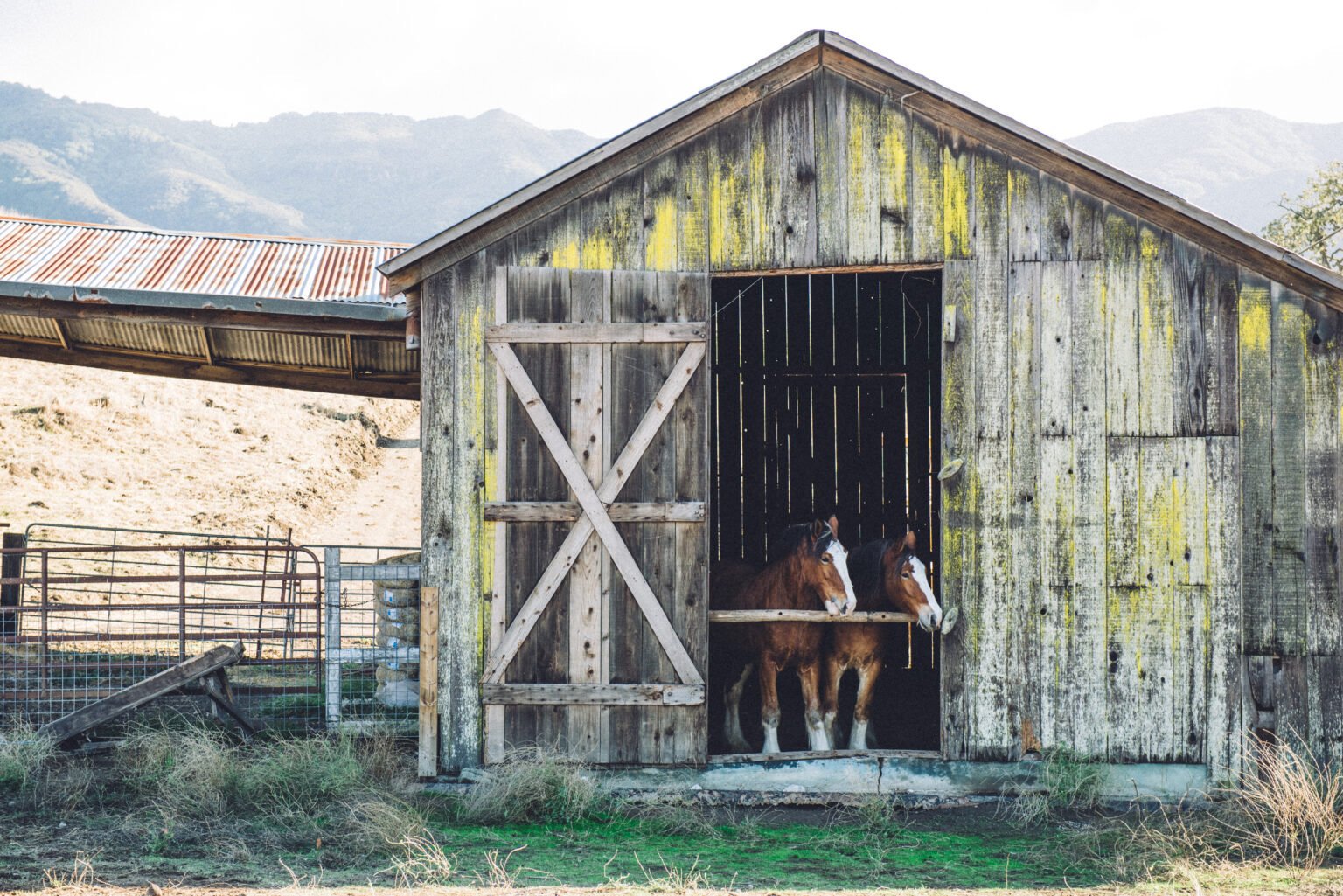Folded Hills – Winery Ranch Farmstead