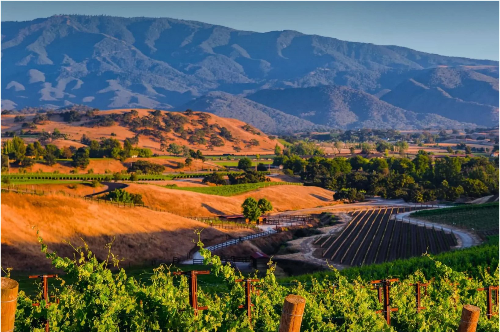 Crown Point Vineyards