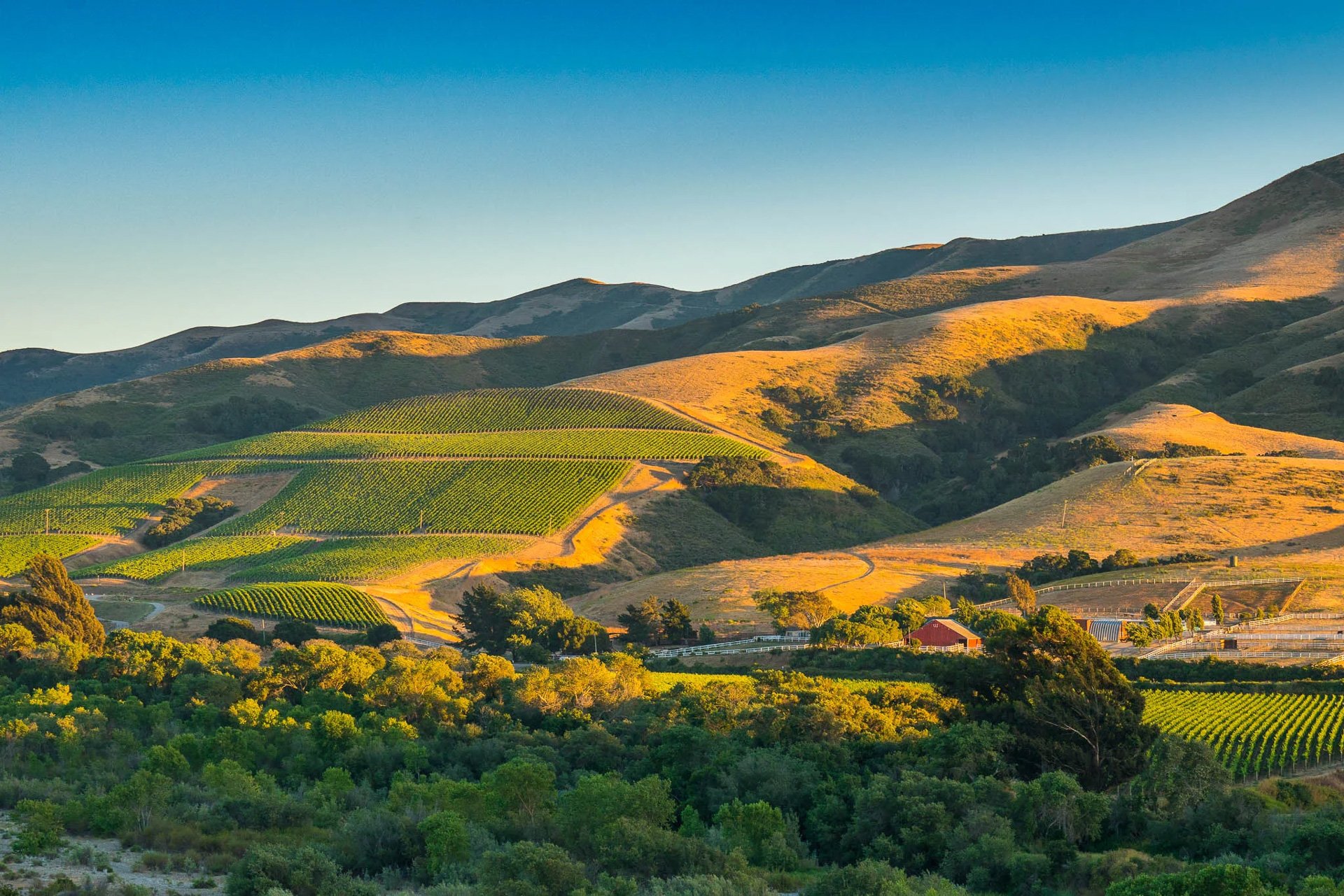 Donnachadh Family Wines