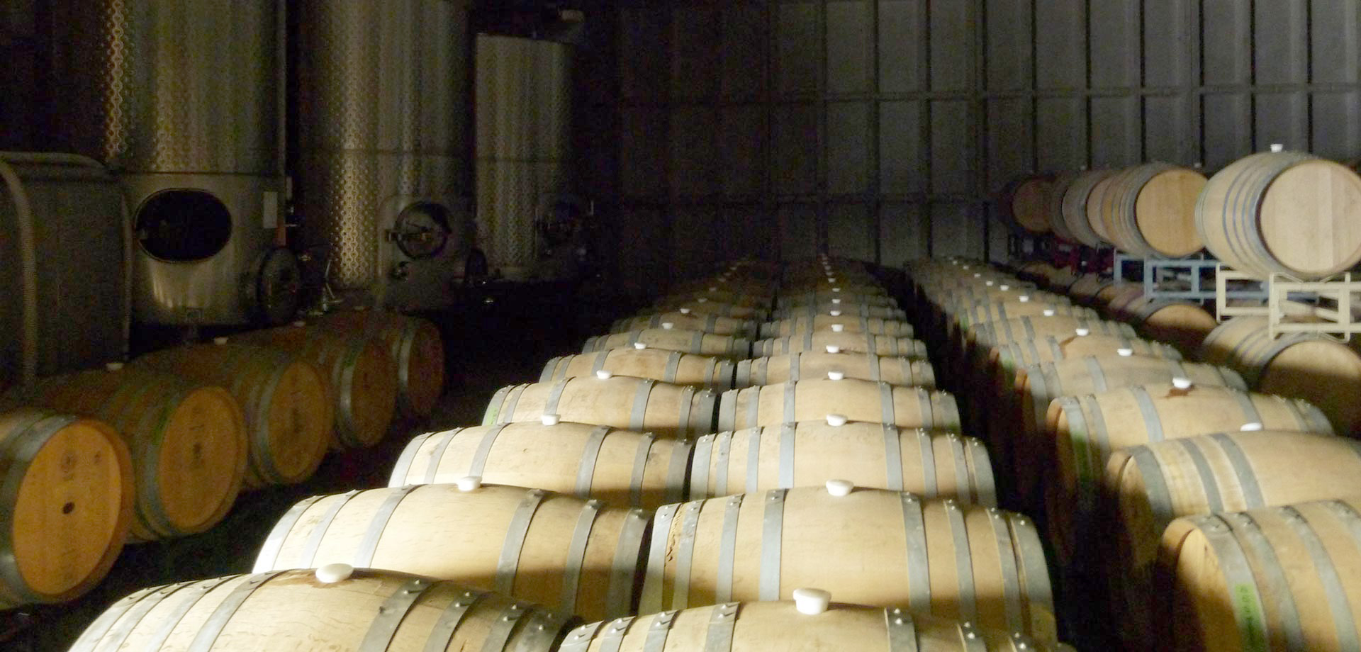 Dragonette Cellars