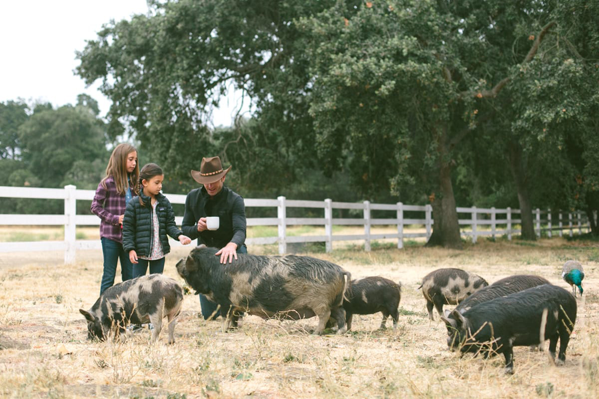 Folded Hills – Winery Ranch Farmstead