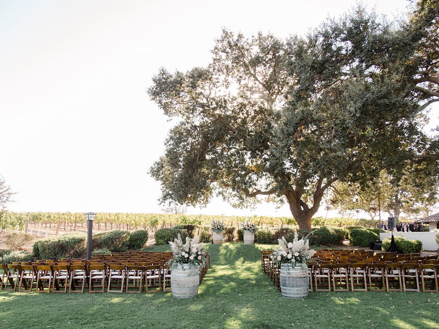 Gainey Vineyard