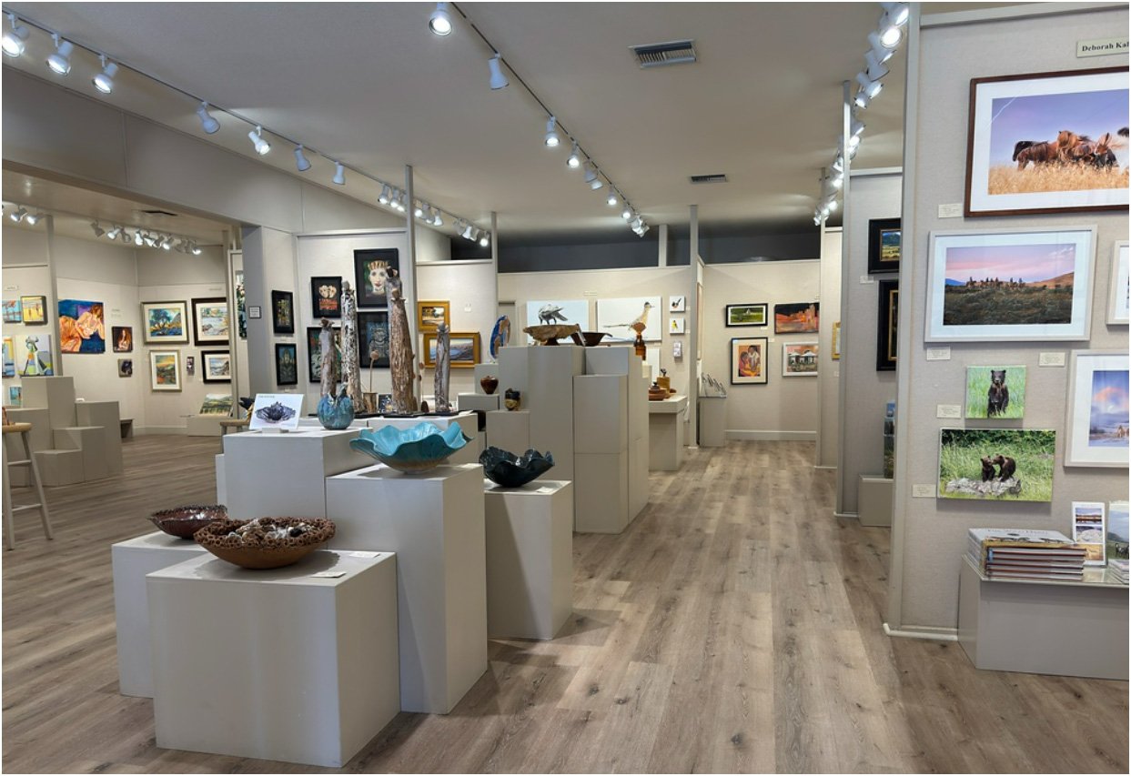 Gallery Los Olivos