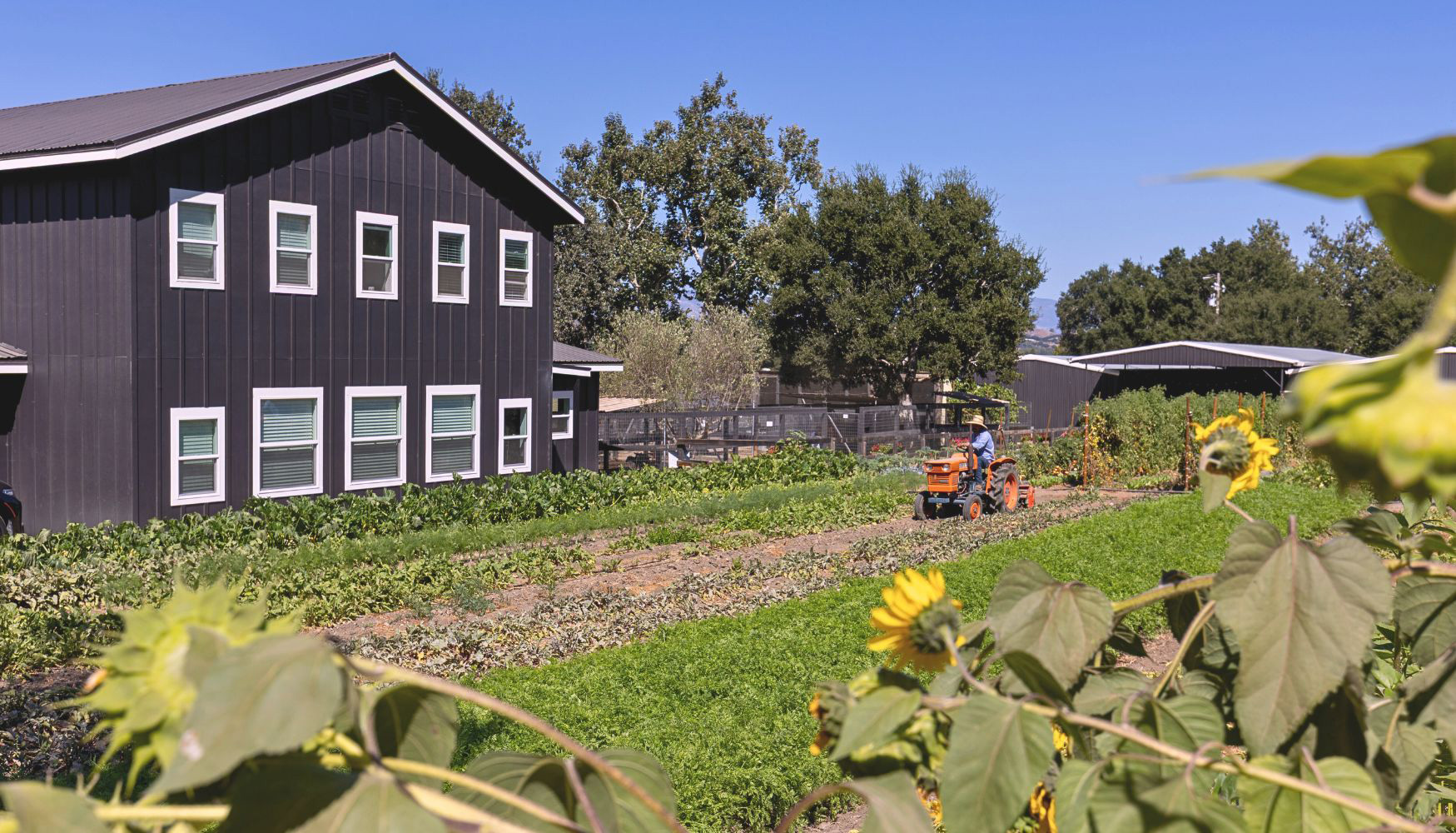 Grapeline Wine Tours