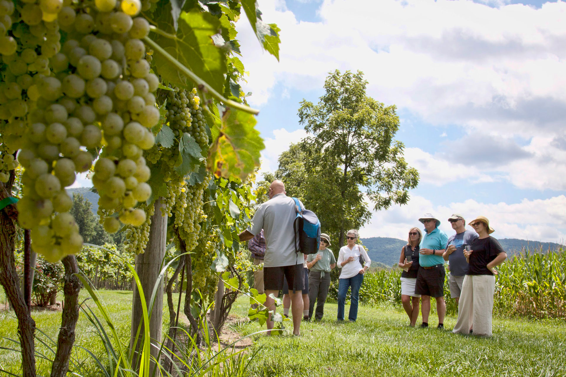 Heritage Farmland Experiences