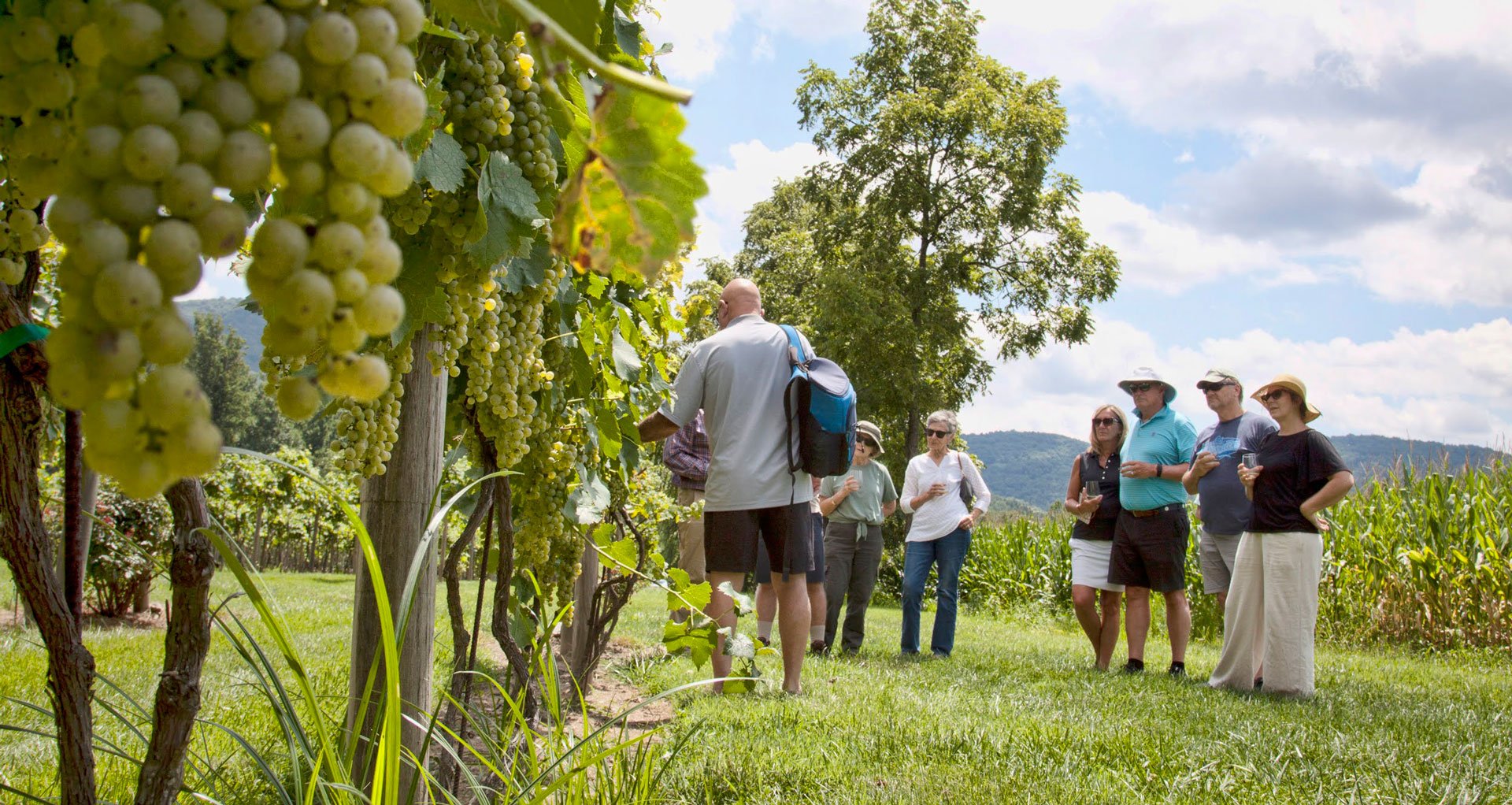 Heritage Farmland Experiences
