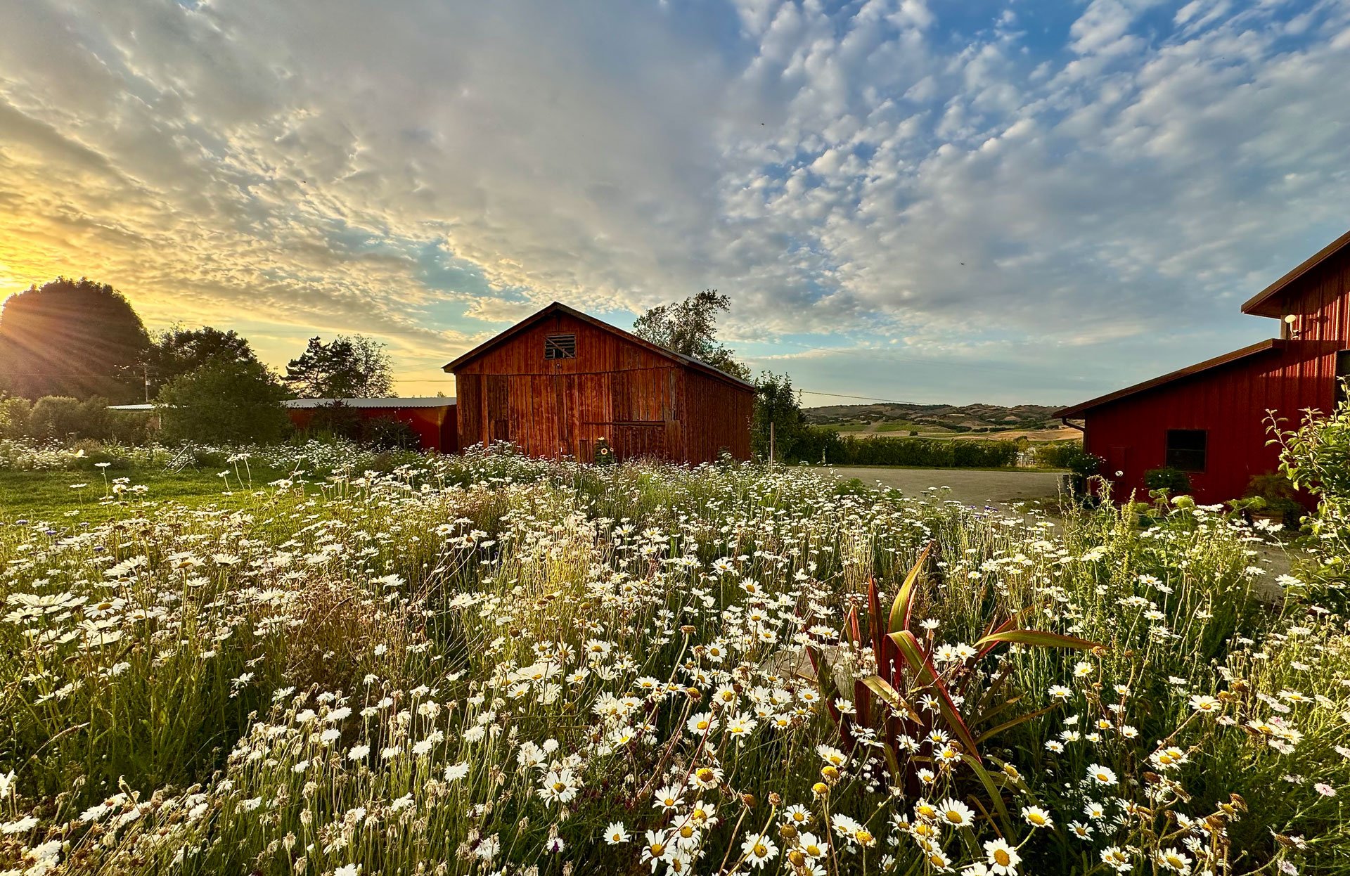 Las Cumbres Ranch