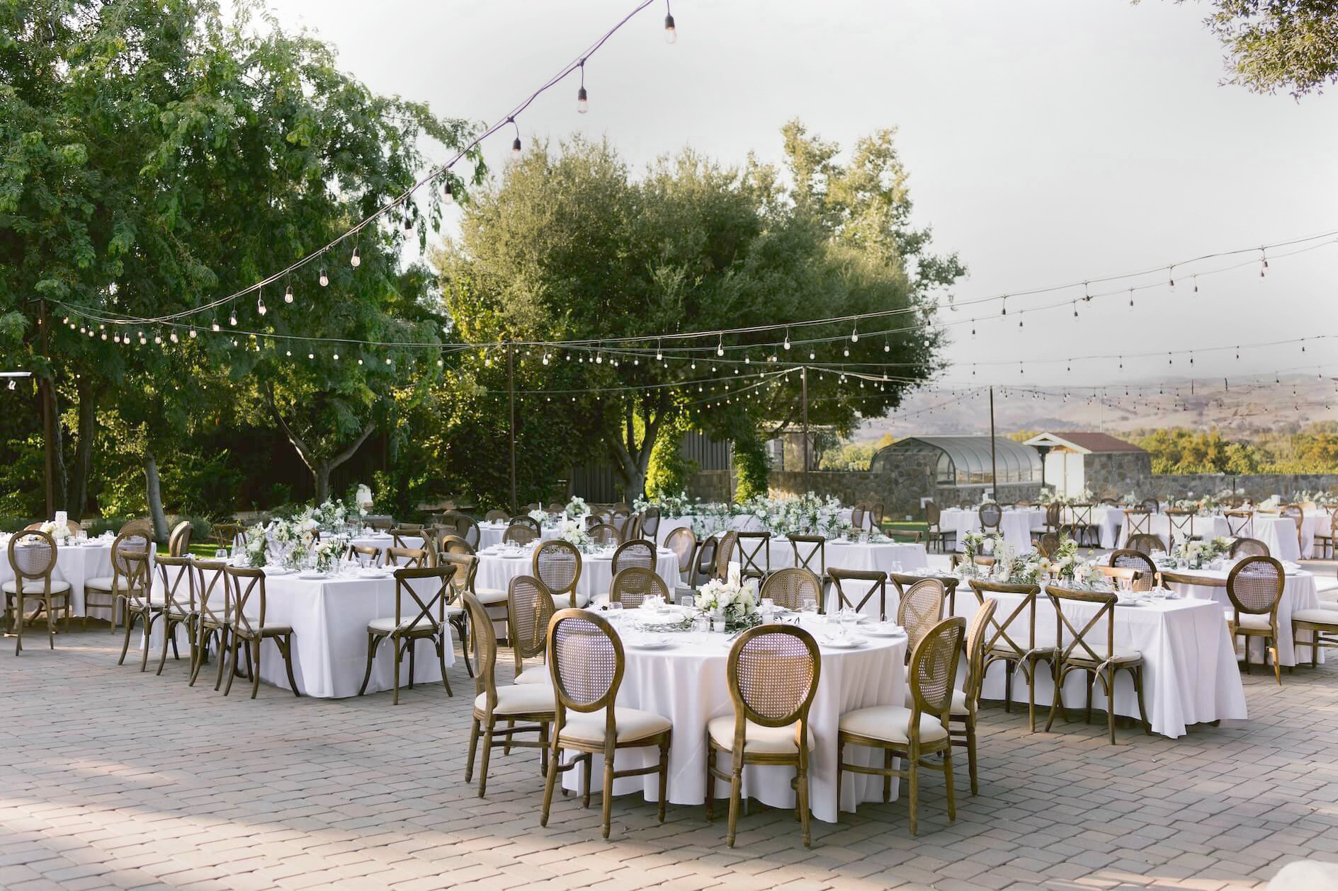 Vega Vineyard and Farm