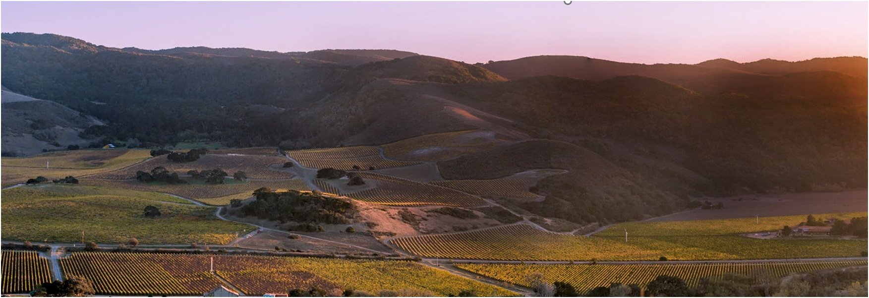 Sanford Winery and Vineyards