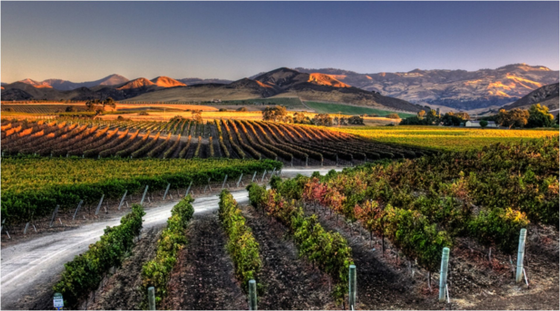 Santa Ynez Valley Association of REALTORS