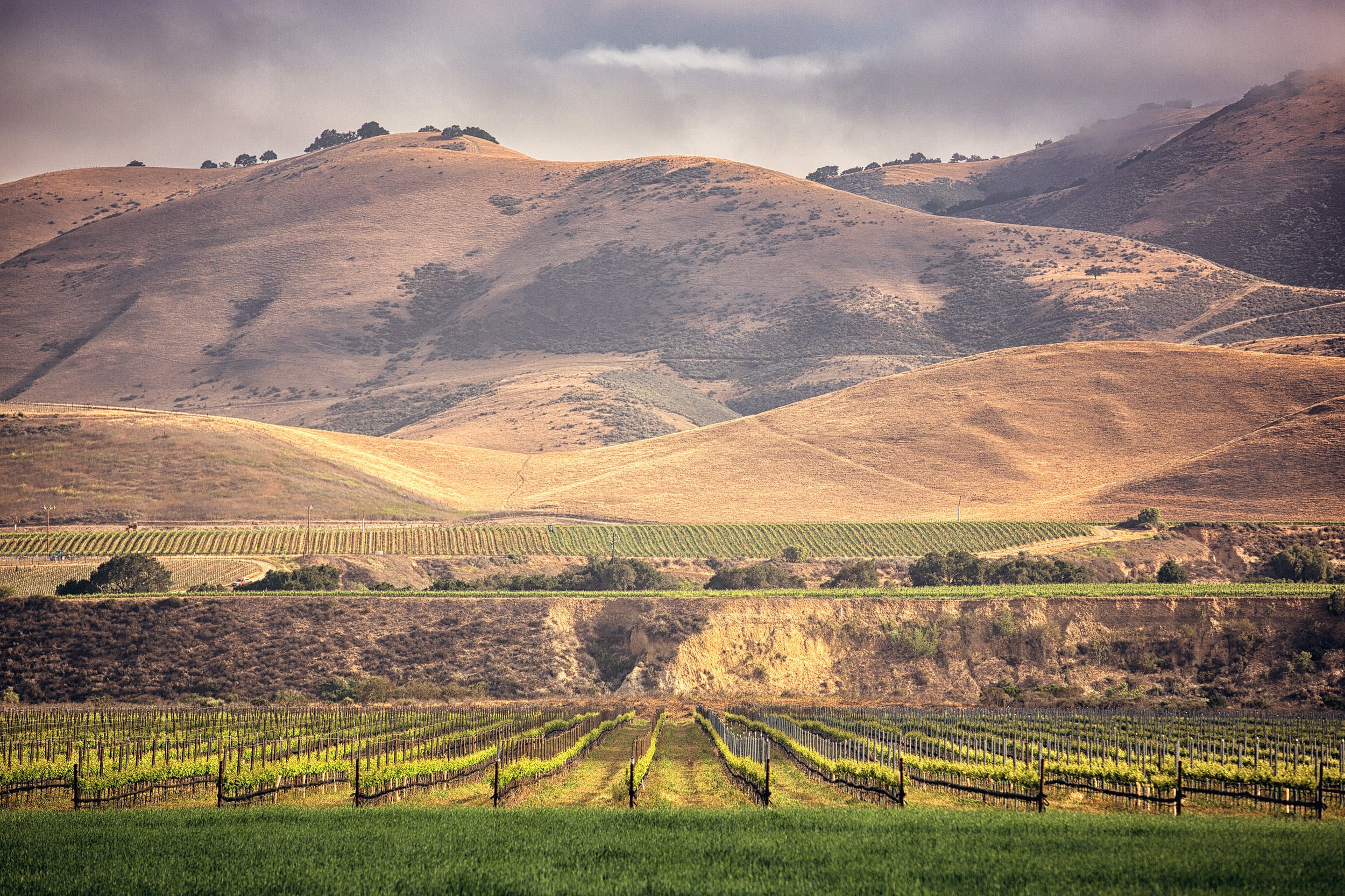 Riverbench Vineyard & Winery