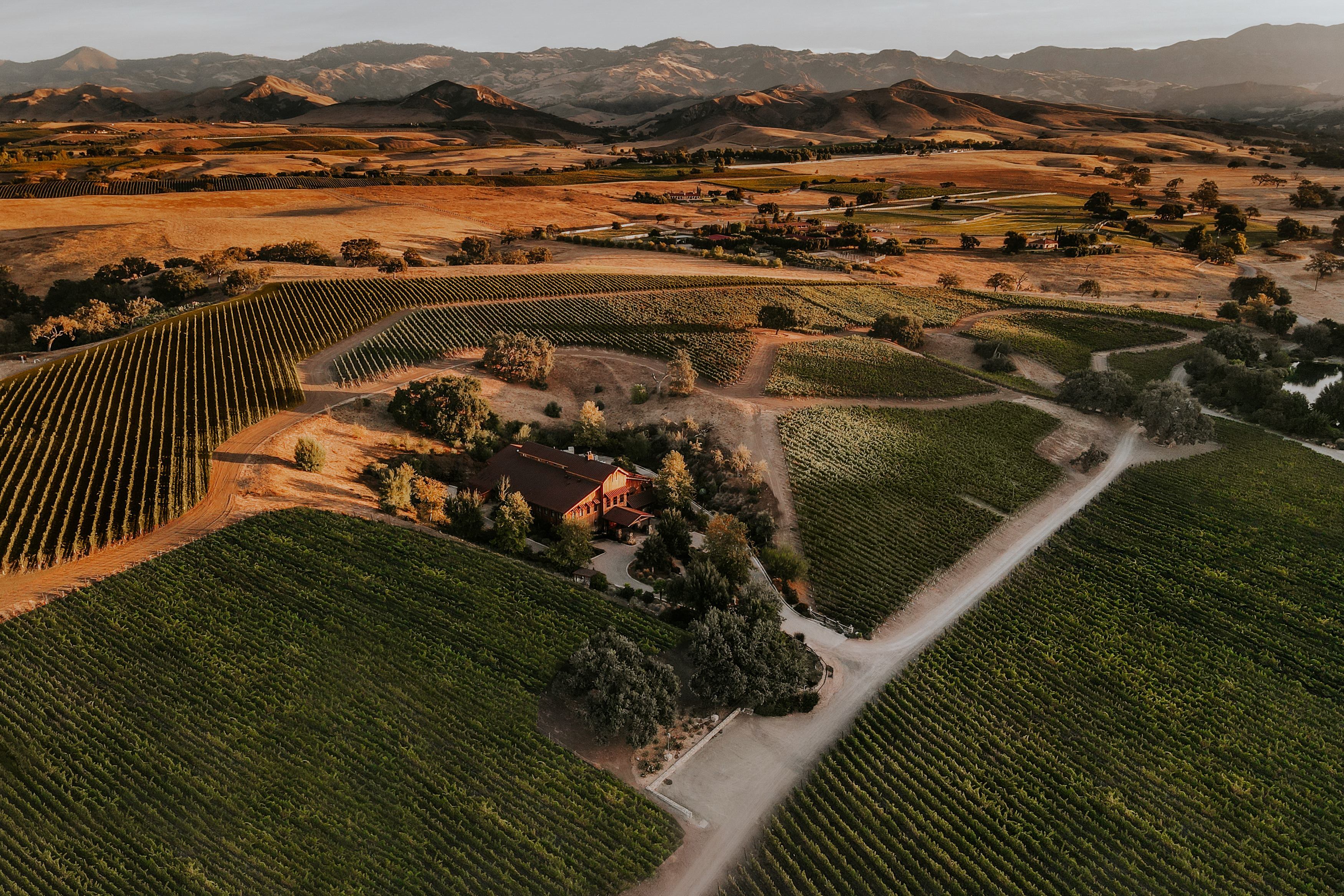 Grassini Family Vineyards
