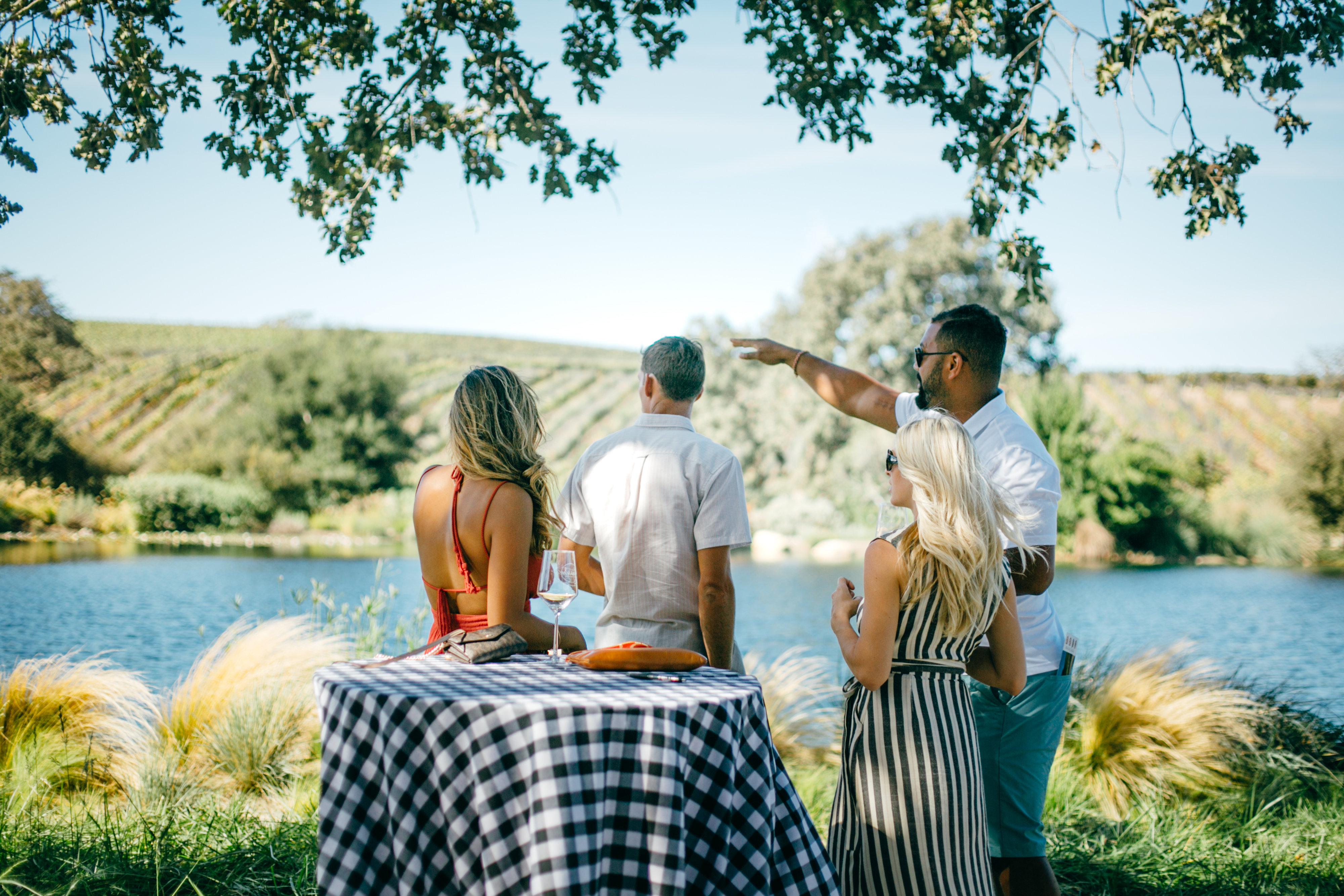 Grassini Family Vineyards